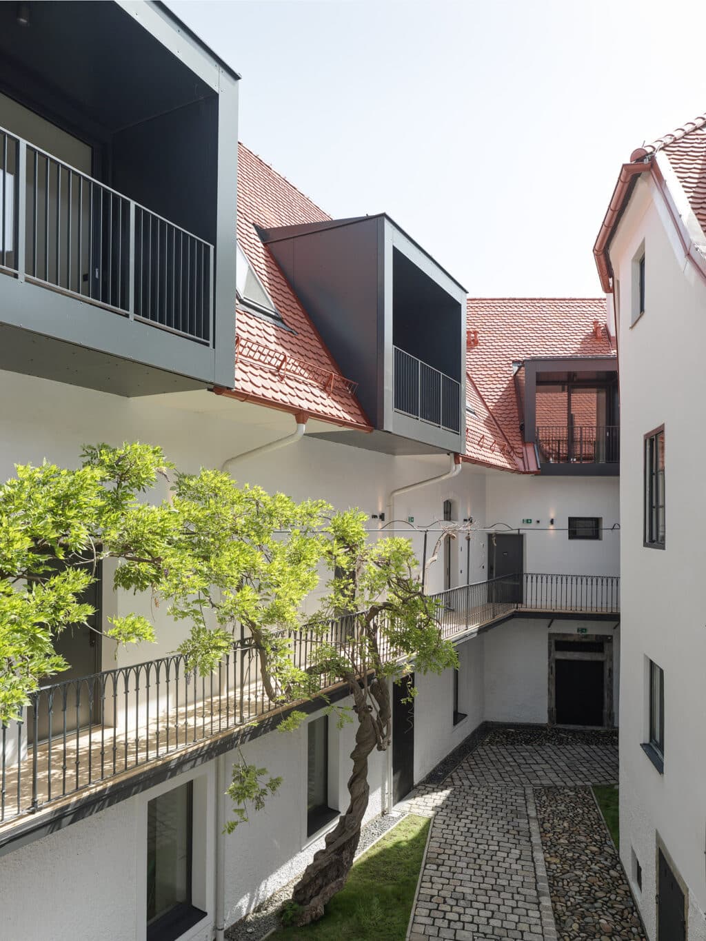 Erhalt des alten Baums im Innenhof Annenstraße 13/Dominikanergasse 2 in Graz trotz umfangreicher Sanierungsarbeiten